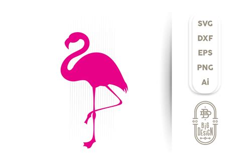 Flamingo SVG , Pink Flamingo Silhouette SVG (523514) | SVGs | Design Bundles