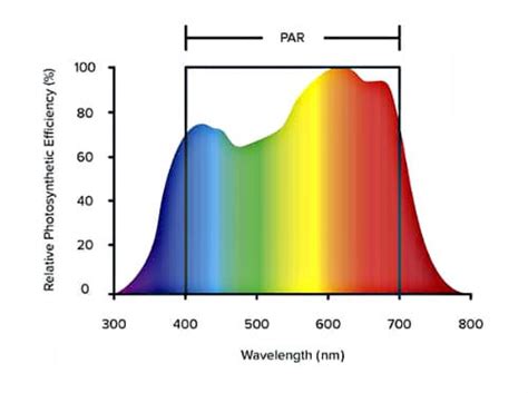 LED Grow Lights - Getting the Right Color Spectrum