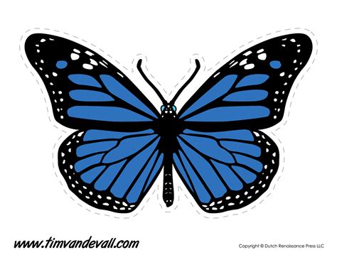 Blue Butterfly image - Tim's Printables