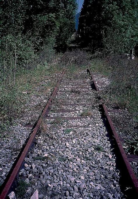 Old Abandoned Railroad Tracks is a photograph by Heinz G Mielke. Source ...