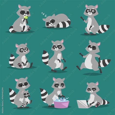 Raccoon vector illustration cartoon set of fun smile drawing artwork furry cartoon raccoon cute ...