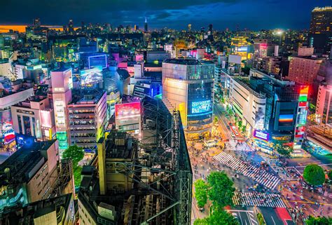 Navigating Tokyo Nightlife | Motto Japan Media - Japanese Culture & Living in Japan