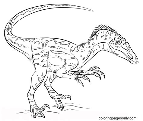 Jurassic World Velociraptor Coloring Page - Free Printable Coloring Pages