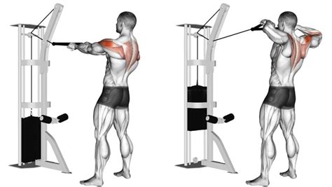 The 10 Best Exercises for Stronger Rhomboids – Fitness Volt