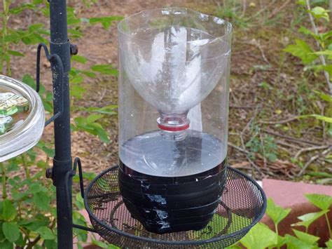 Homemade Wasp Trap Instructions - How To Make A Homemade Wasp Trap | Gardening Know How