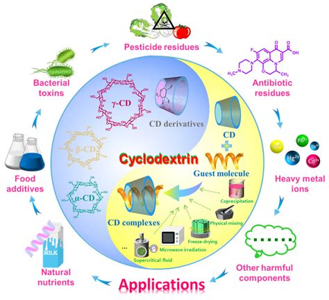 Foods | Free Full-Text | Cyclodextrin Inclusion Complexes and Their Application in Food Safety ...