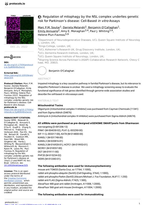 (PDF) Regulation of mitophagy by the NSL complex underlies genetic risk ...