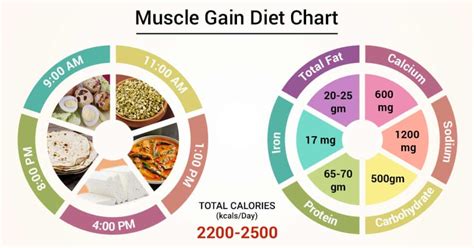 Diet Chart For Muscle Gain Patient, Muscle Gain Diet chart | Lybrate.