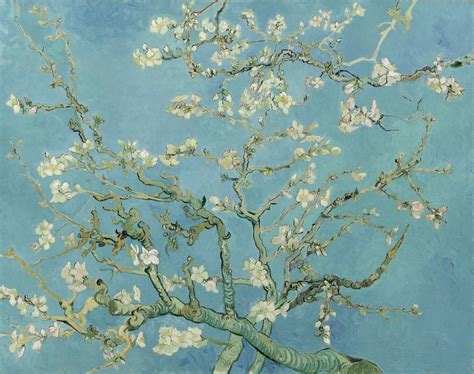 Almond Tree Van Gogh Wallpapers - Top Free Almond Tree Van Gogh ...