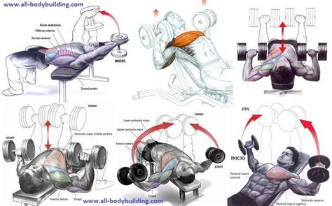 Chest workouts, Dumbbell chest workout, Barbell workout