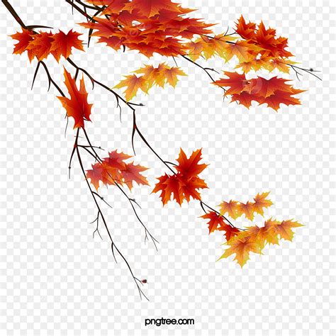 Autumn Maple Leaf PNG Picture, Autumn Leaves Beautiful Maple Leaf, Maple Leaf Clipart, Autumn ...