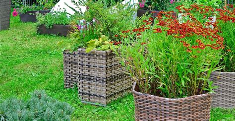 5 Best Rattan Planters UK (Sept 2020 Review)