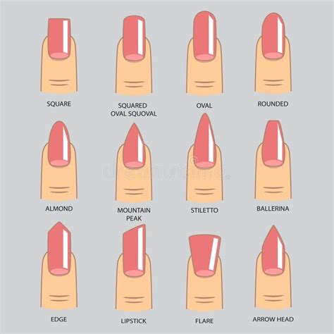 Set of Different Shapes of Nails on Gray. Nail Shape Icons Stock Vector - Illustration of bright ...