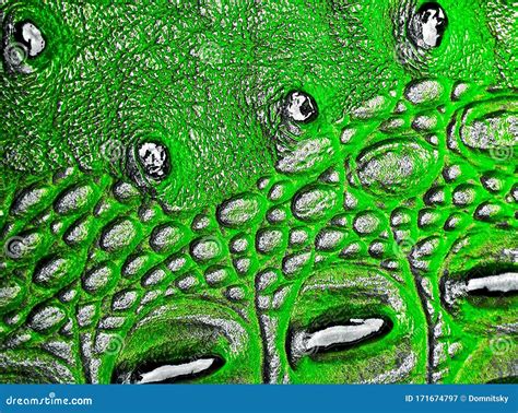 Green Alligator Skin Texture Stock Image - Image of exotic, leather: 171674797