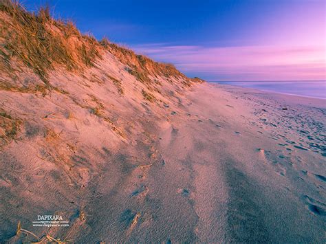 A Magic Purple Sunrise On Nauset Beach | BLOG