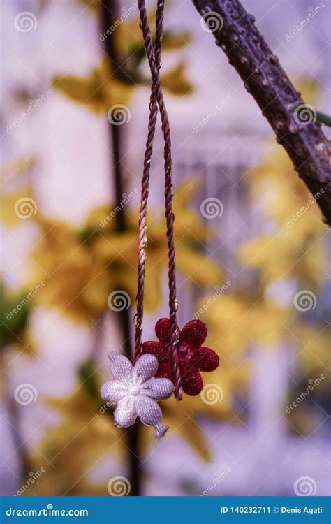 Symbol of the Beginning of Spring. Romanian Symbol Martisor Flowers of Springtime. Stock Image ...