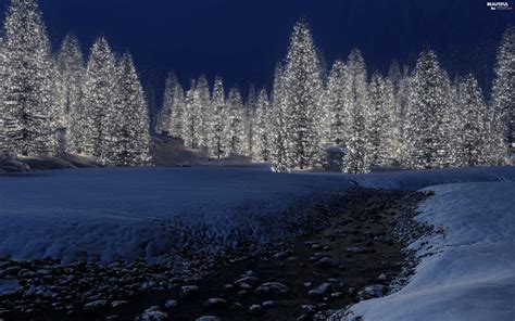 luminous, forest, snow, drifts, brook - Beautiful views wallpapers: 2560x1600