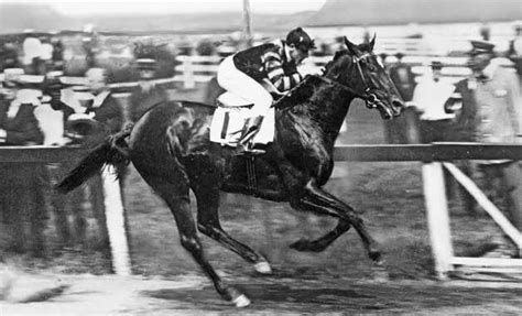 Man o' War: The Racehorse That Started It All! - Thoroughbred Greats