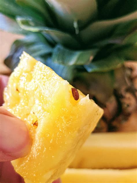 Growing Pineapple from Seeds – Collecting & Planting Pineapple Seeds - Bunny's Garden