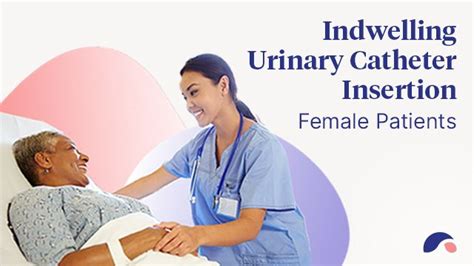 Urinary Catheter Insertion for Females | Ausmed Explains ...