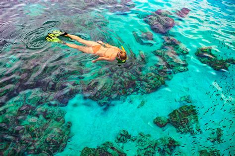 The 10 Best Snorkeling Spots In Nassau, The Bahamas | Sandals