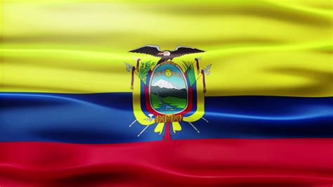 Ecuador Flag Loop 1790733 Stock Video at Vecteezy