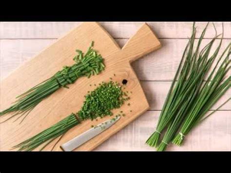 Chives vs Scallions - YouTube