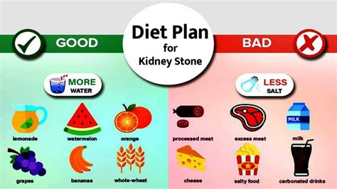 Kidney Stone Diet: Best Food For People With Kidney Stones - Just Credible