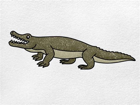 How to Draw an Alligator - HelloArtsy