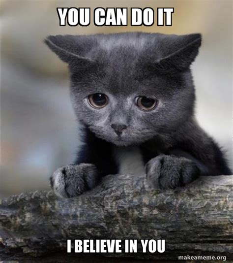 You can do it I believe in you - Confession Cat Meme Generator