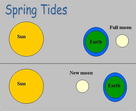 Spring Tides & Neap Tides