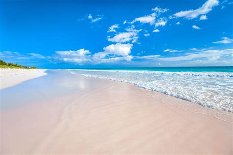 20 Amazing Things The Bahamas Is Known For | SANDALS