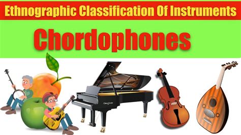 CLASSIFICATION OF MUSICAL INSTRUMENTS : CHORDOPHONES - YouTube