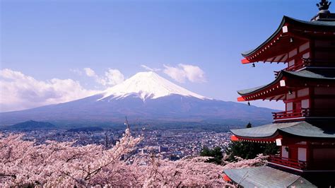 cherry blossoms and Mount Fuji-Landscape photography wallpaper-1920x1080 Download | 10wallpaper.com