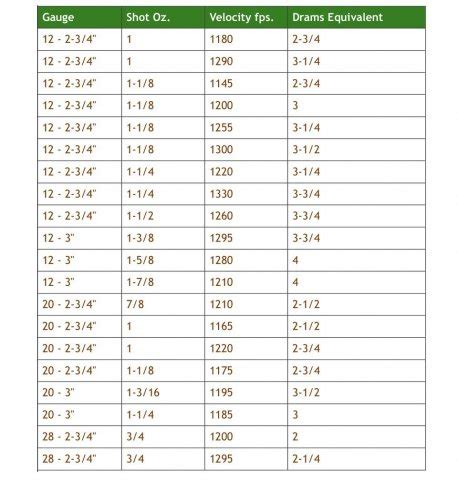 How to Read a Shotgun Ammo Box for Information