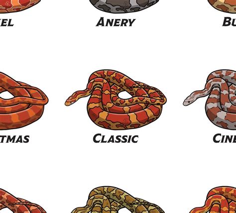 Cornsnake Morph Posters - Etsy