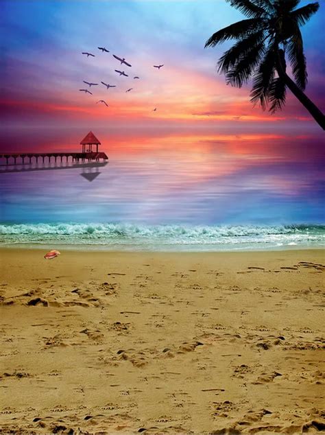 Seascape scenery vinyl cloth sunset palm tree sea beach photography backdrops for wedding kids ...