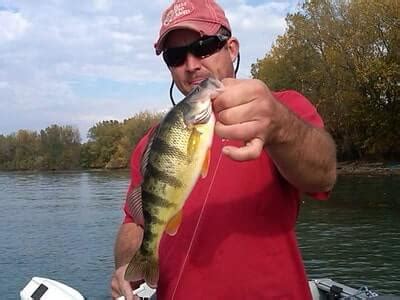 Perch Fishing Tips