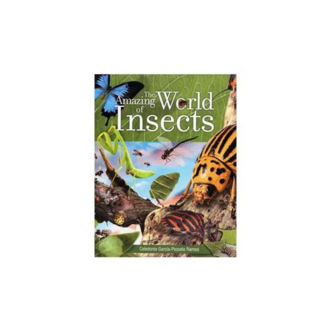 The Amazing World of Insects