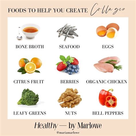 Collagen Definition Food at Margaret Burger blog