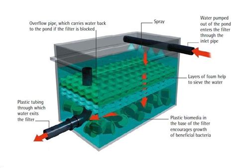 diy koi pond filter media - Errol Crutchfield