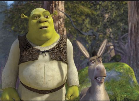 Image - Shrek and donkey in shrek .jpg - WikiShrek - The wiki all about Shrek