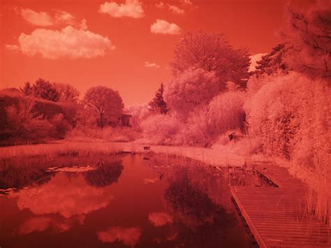 An In-Depth Infrared Filter Comparison