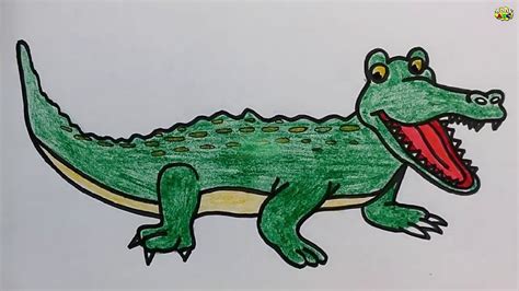 Alligator Drawing