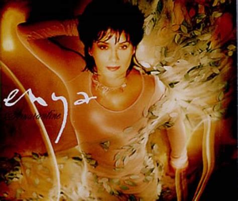 Enya Amarantine (Vinyl Records, LP, CD) on CDandLP