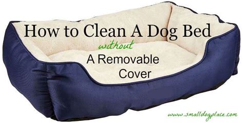 How to Clean a Dog Bed That Has No Removable Cover