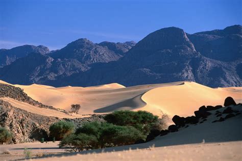 Spotting wildlife in Niger's Aïr & Ténéré Natural Reserves - Lonely Planet