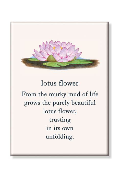 LOTUS FLOWER AND ITS MEANING SYMBOLISM, 48% OFF