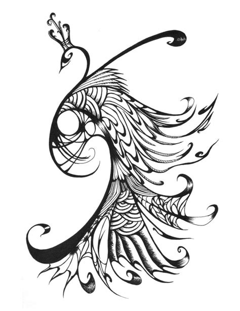 Peacock Outline Drawing at GetDrawings | Free download