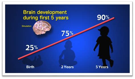 Early Brain Development – The Best for My Kid